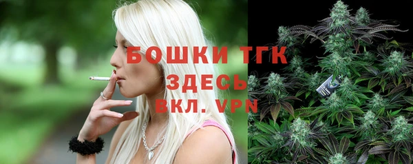 гидра Пролетарск