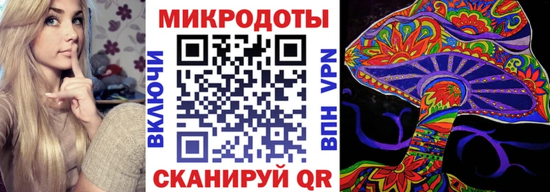 Галлюциногенные грибы Psilocybine cubensis  цена наркотик  Кашин 